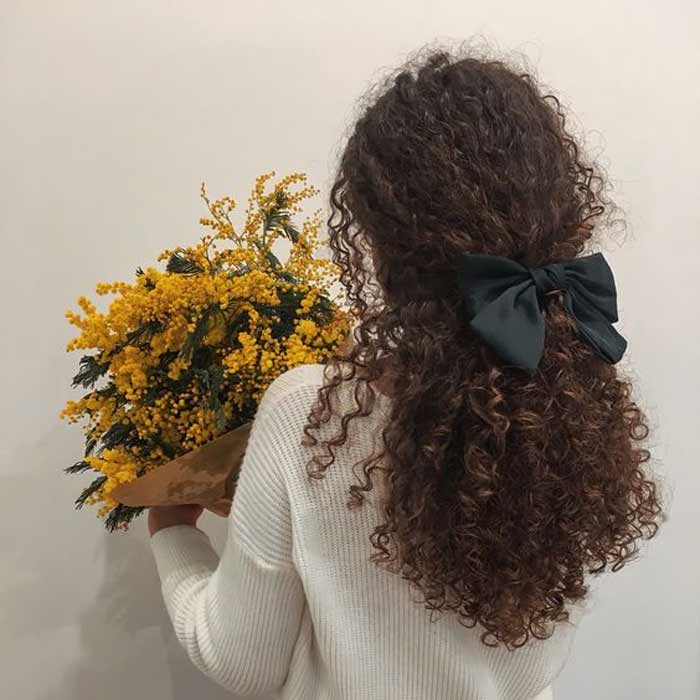 Bow clip hair accessories