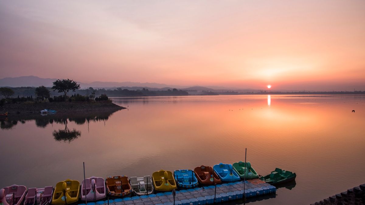 Dhanas Lake, Chandigarh