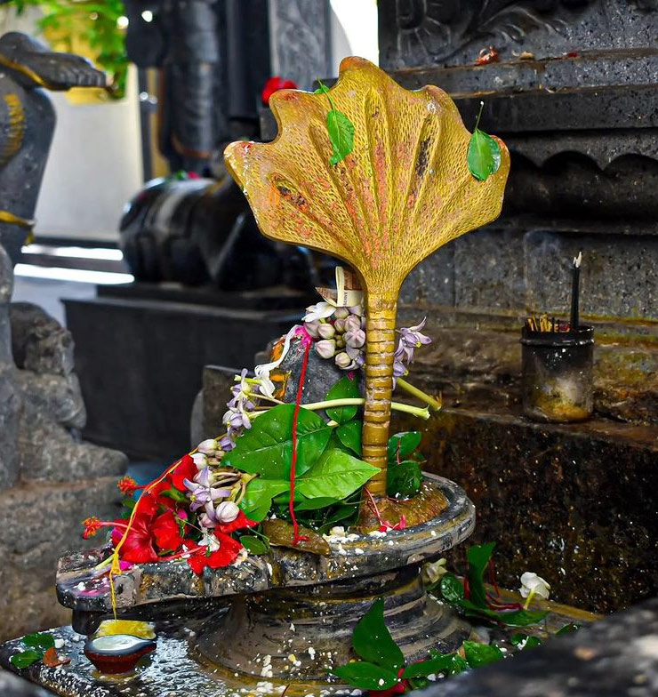 Dwadash Jyotirlinga Stotram benefits