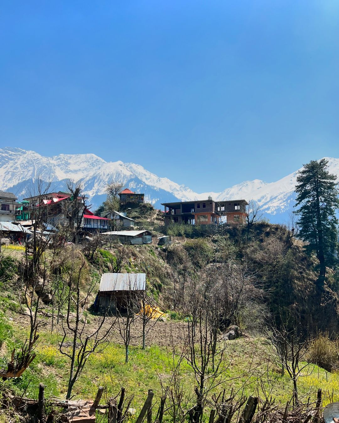 Himachal Pradesh Tosh Village