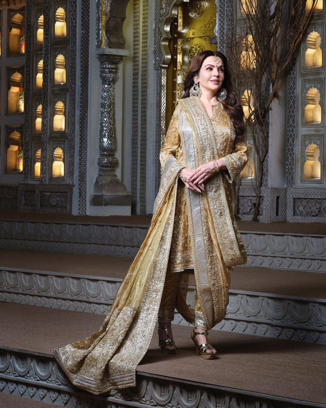 Nita ambani looks