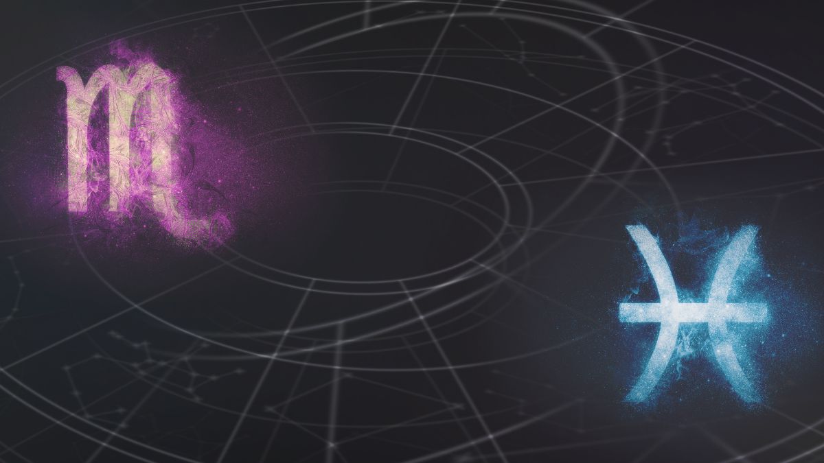 Scorpio Pisces Compatibility As Partners