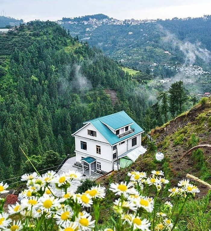 Theog Democracy History