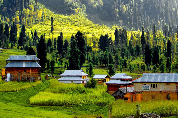 Where Is Bangus Valley