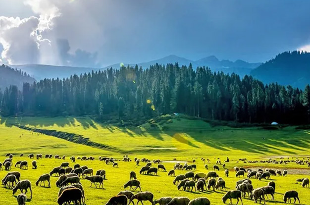 Why Bangus Valley Is So Famous