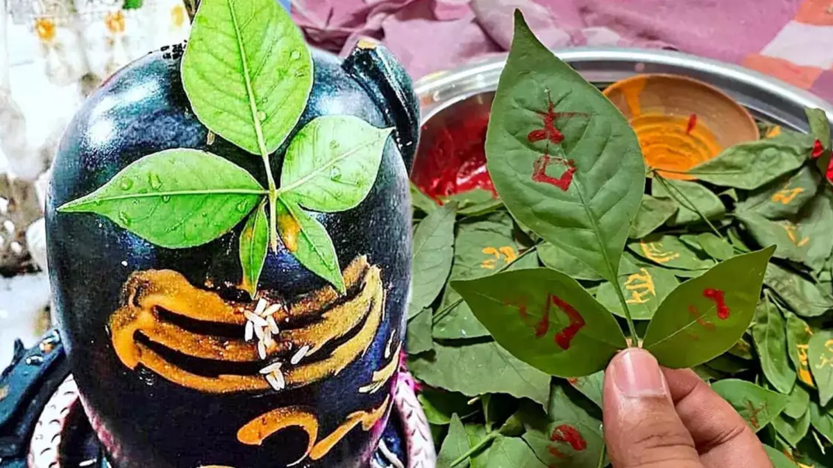 Why we offer Bel Patra to Shivling