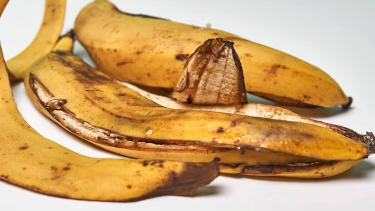 banana peel for aparajita plant