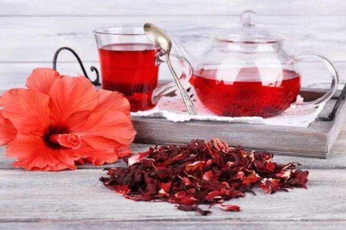 best hibiscus hair oil to control hair fall