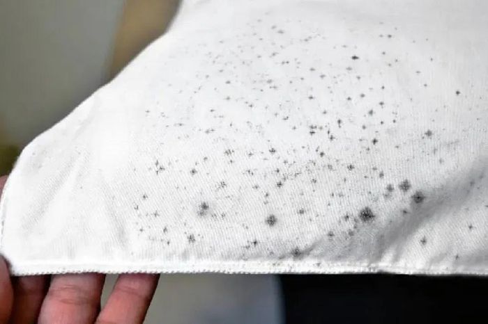 best home remedies for prevent fungus from growing on your clothes