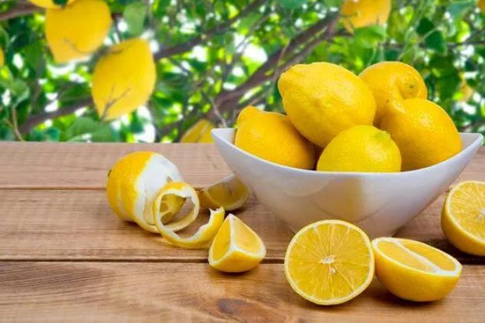 best home remedies for prevent fungus from growing on your clothes