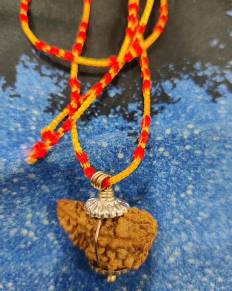 ek mukhi rudraksha astrology
