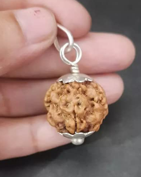 ek mukhi rudraksha benefits astrology