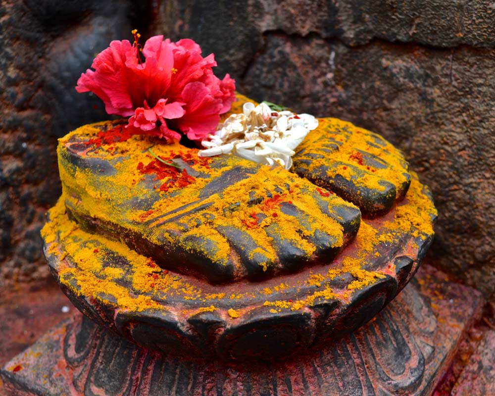 guru purnima  par kya kare