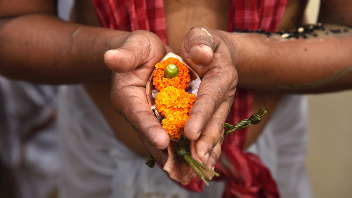 hariyali amavasya  pr pitro ko khush karne ke jyotish upay