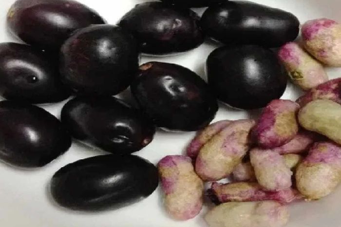 jamu seed new inside