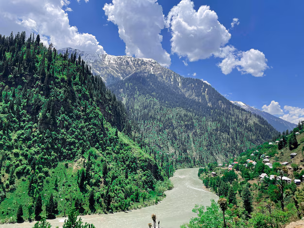 kashmir