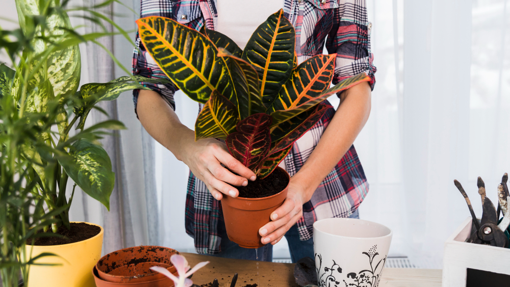 make fake plant cleaner