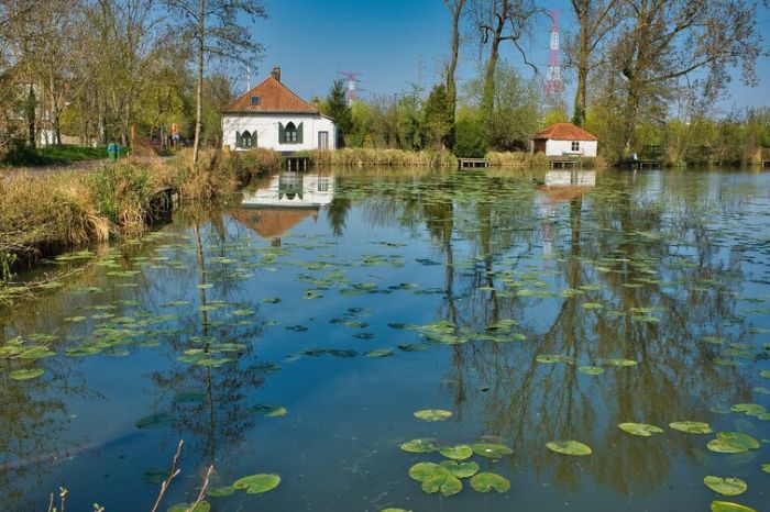 mosquito water inside