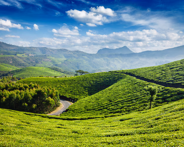 munnar