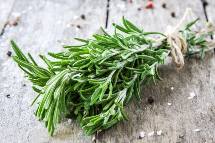 rosemerry new inside