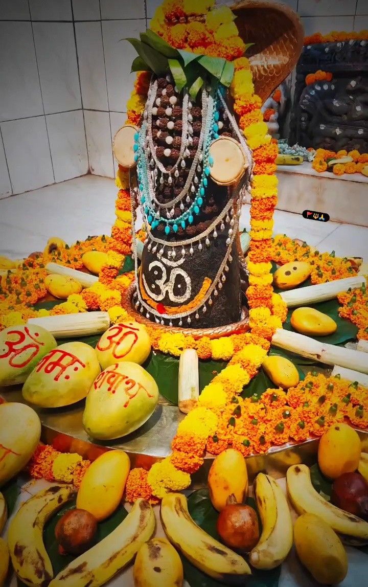 sawan ke pehle pradosh vrat pr shivling pr kya nahi chadhana chahiye