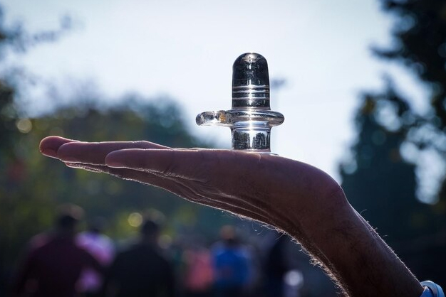 sawan shivling puja vidhi in astro