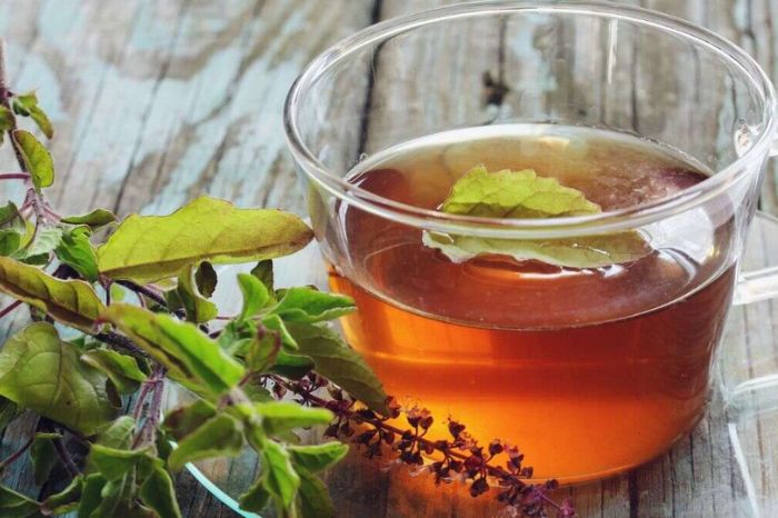 tulsi kadha or kasayam health benefits in monsoon