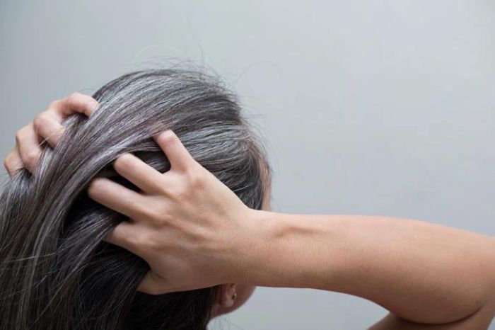 use this hair oil to stop graying of hair you will get relief