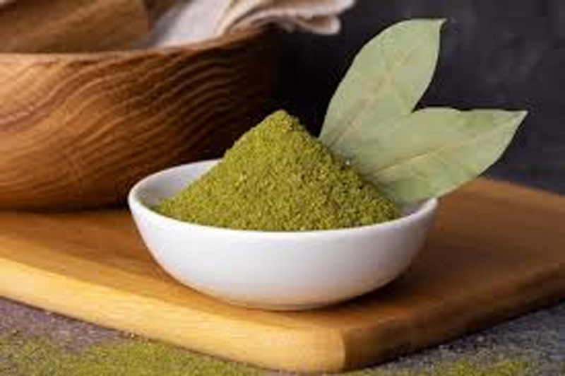 what attracts centipedes in your house