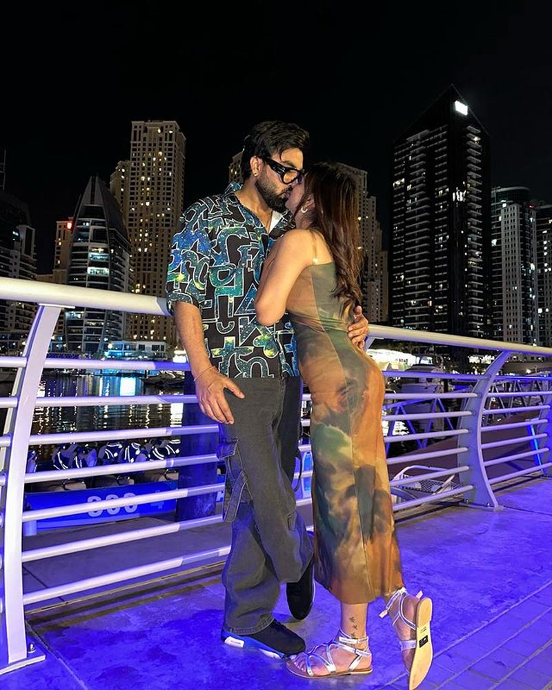 when payal made these serious allegations against armaan malik