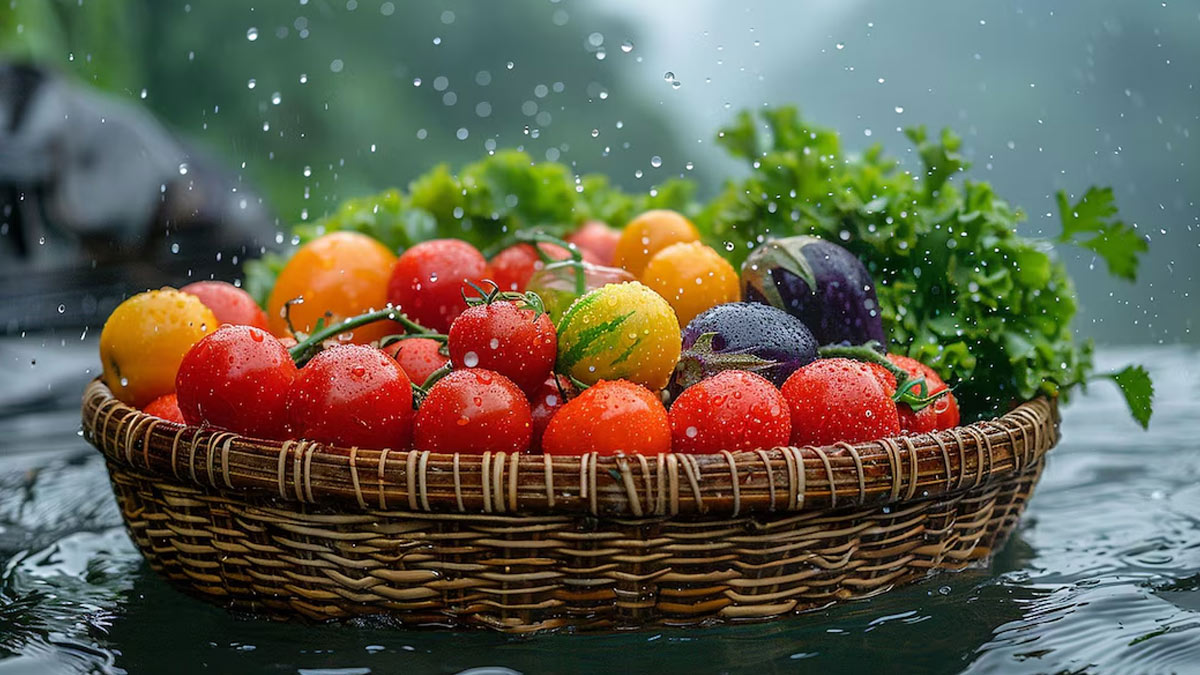 How to grow vegetable with seeds