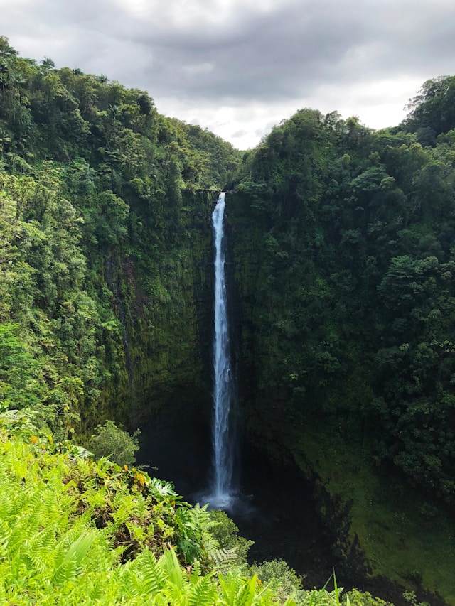 Naneghat Waterfall monsoon