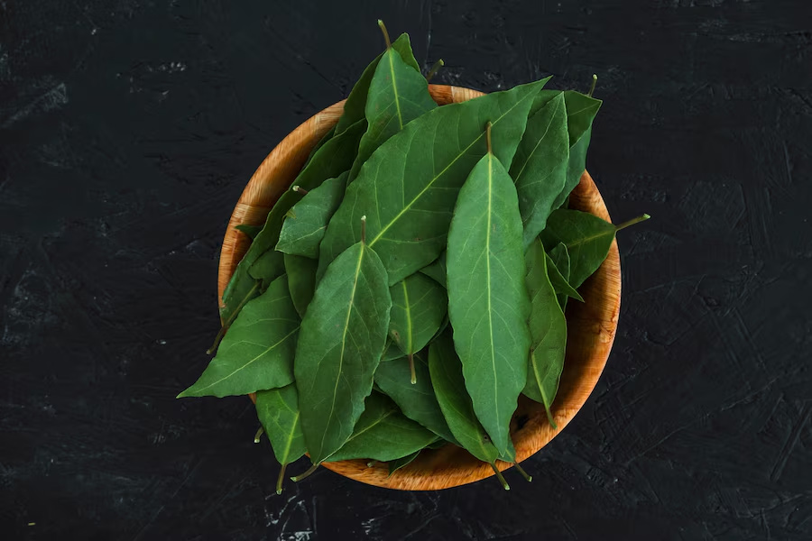 Neem leaves for skin care