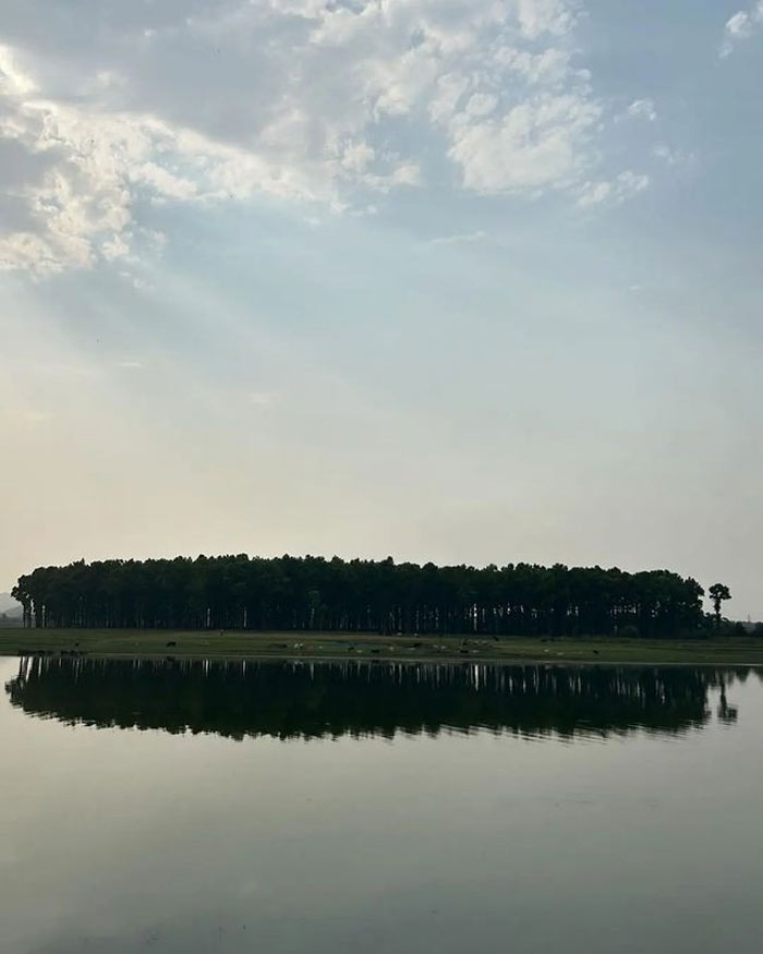 Rose island for travel