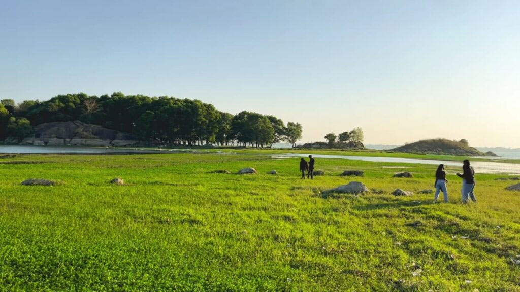 Where is rose island