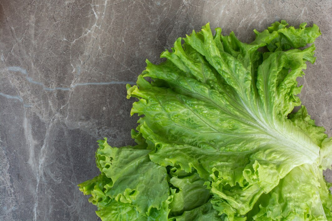 how to stop lettuce leaves turning pink