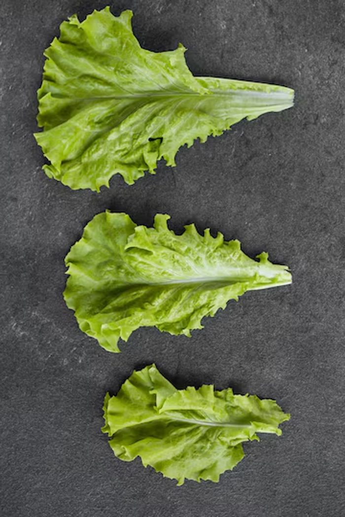 how to store lettuce leaves