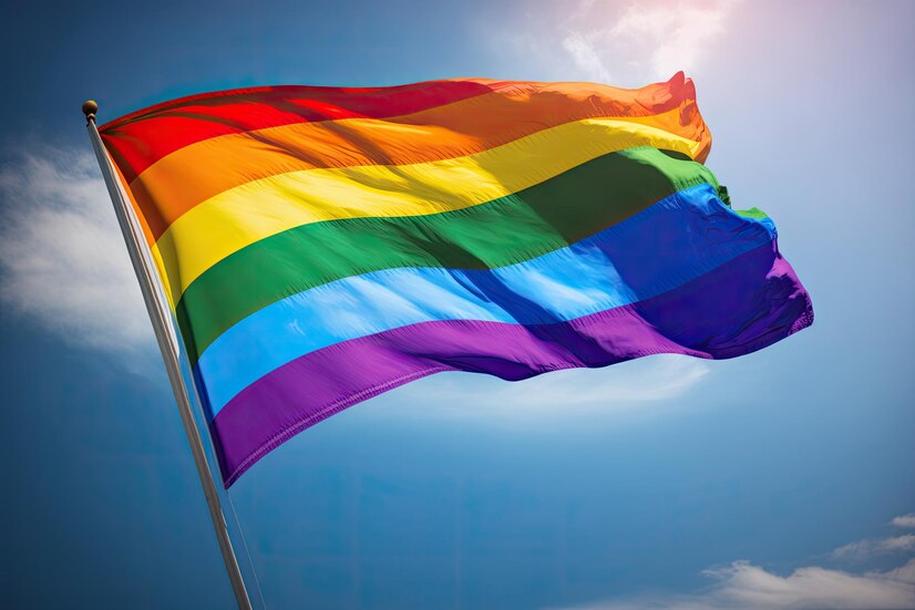 lgbtq community flag