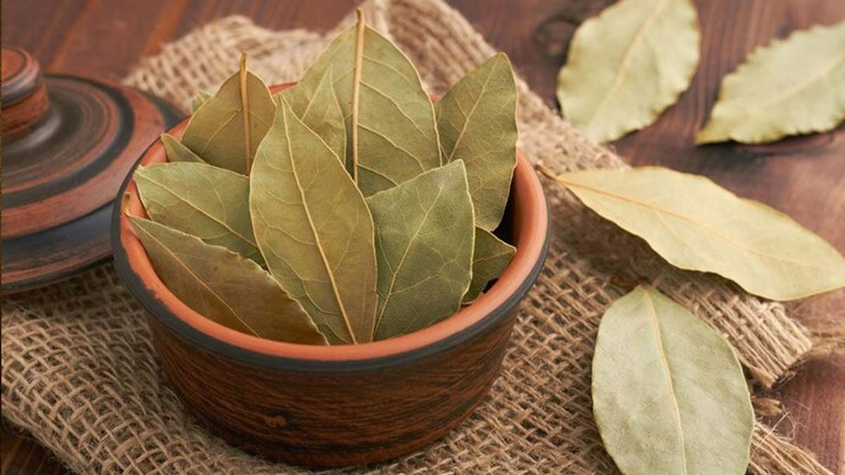 monsoon bay leaves solution
