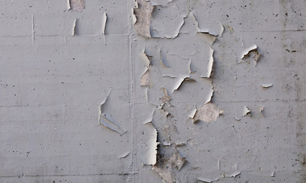 monsoon seelan problems