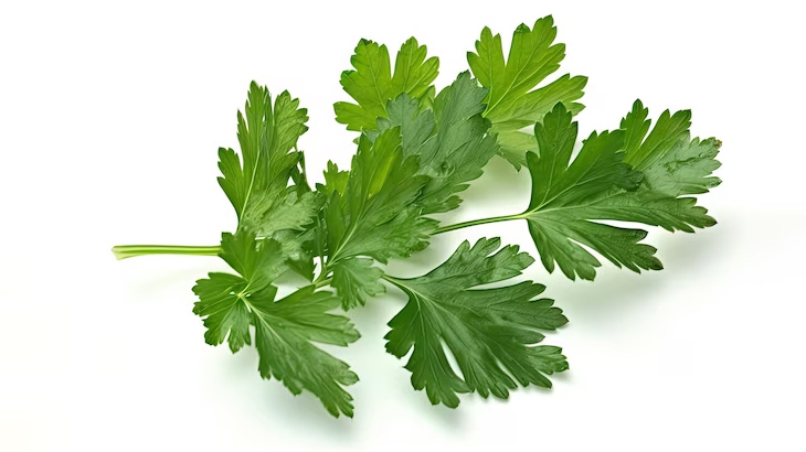 parsely for water retention