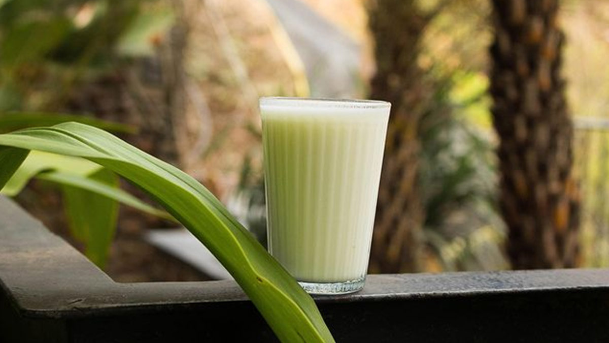 sugarcane juice side effects in summer