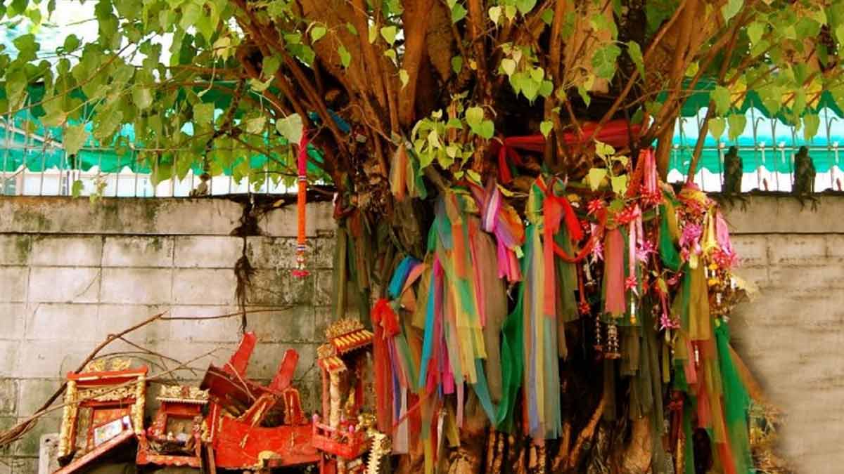 things to offer on peepal tree on vaishakh amavasya