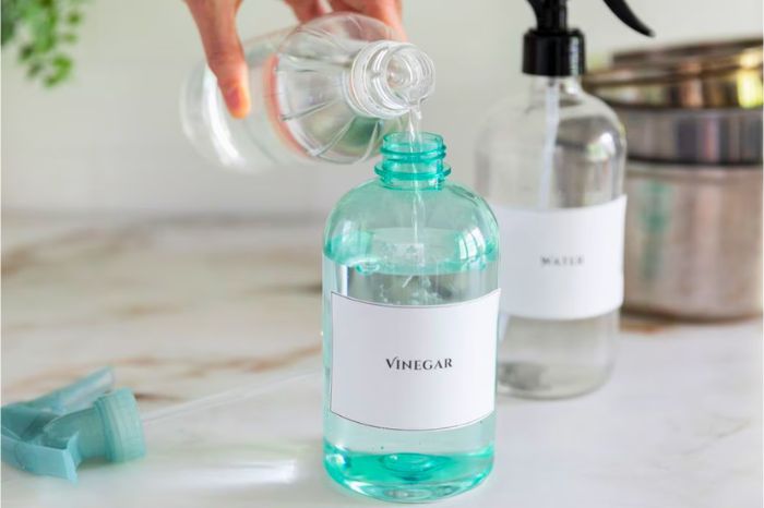 use these things to mopping water to get rid of mosquitoes