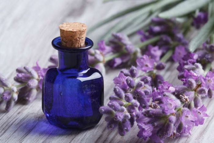 use these things to mopping water to get rid of mosquitoes