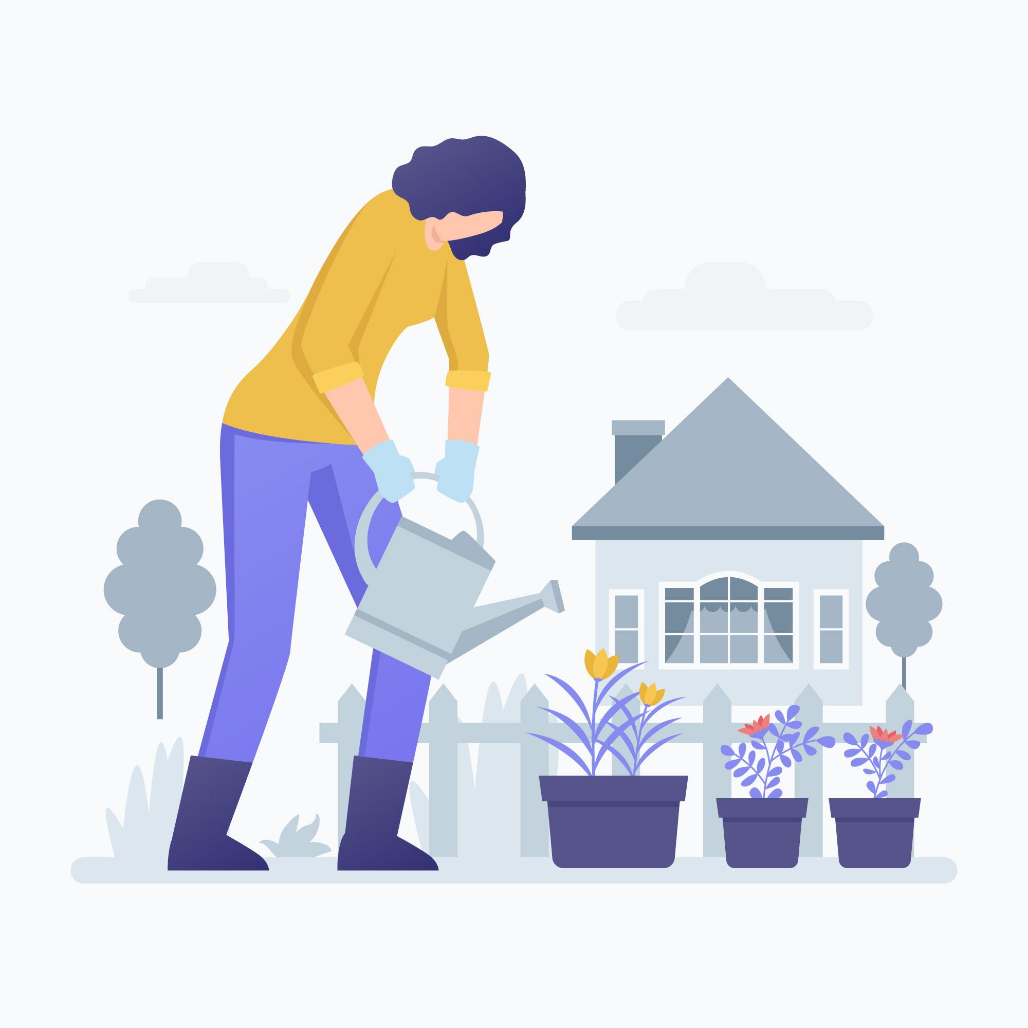 watering plants