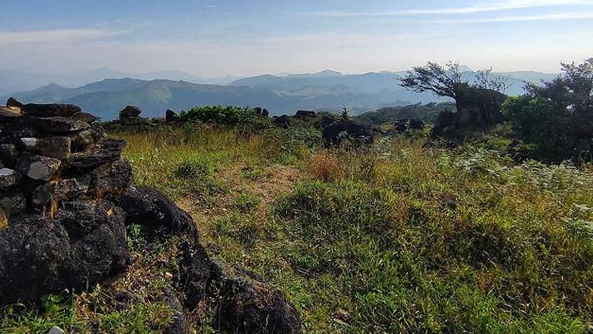 what is the cause of monsoon