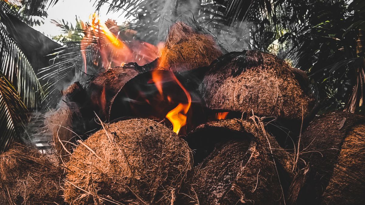 Dry coconut remedy on the day of Holika Dahan