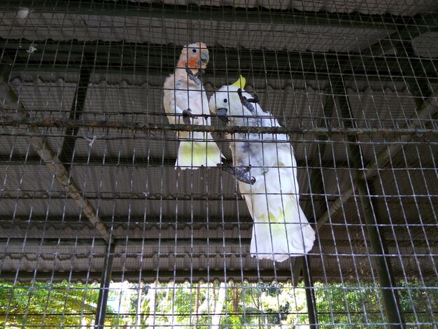 Haryana famous fun place