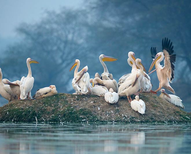 Mathura nearest famous places